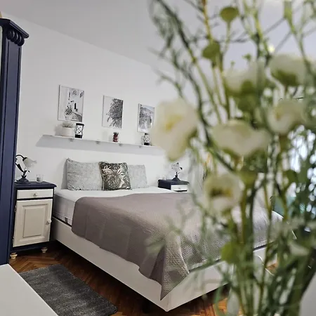 Csobogos Vendeghaz Apartman *